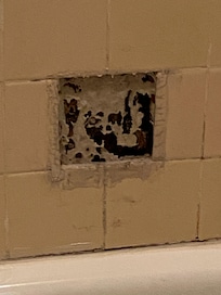 Mold/dryrot where soap dish used to be