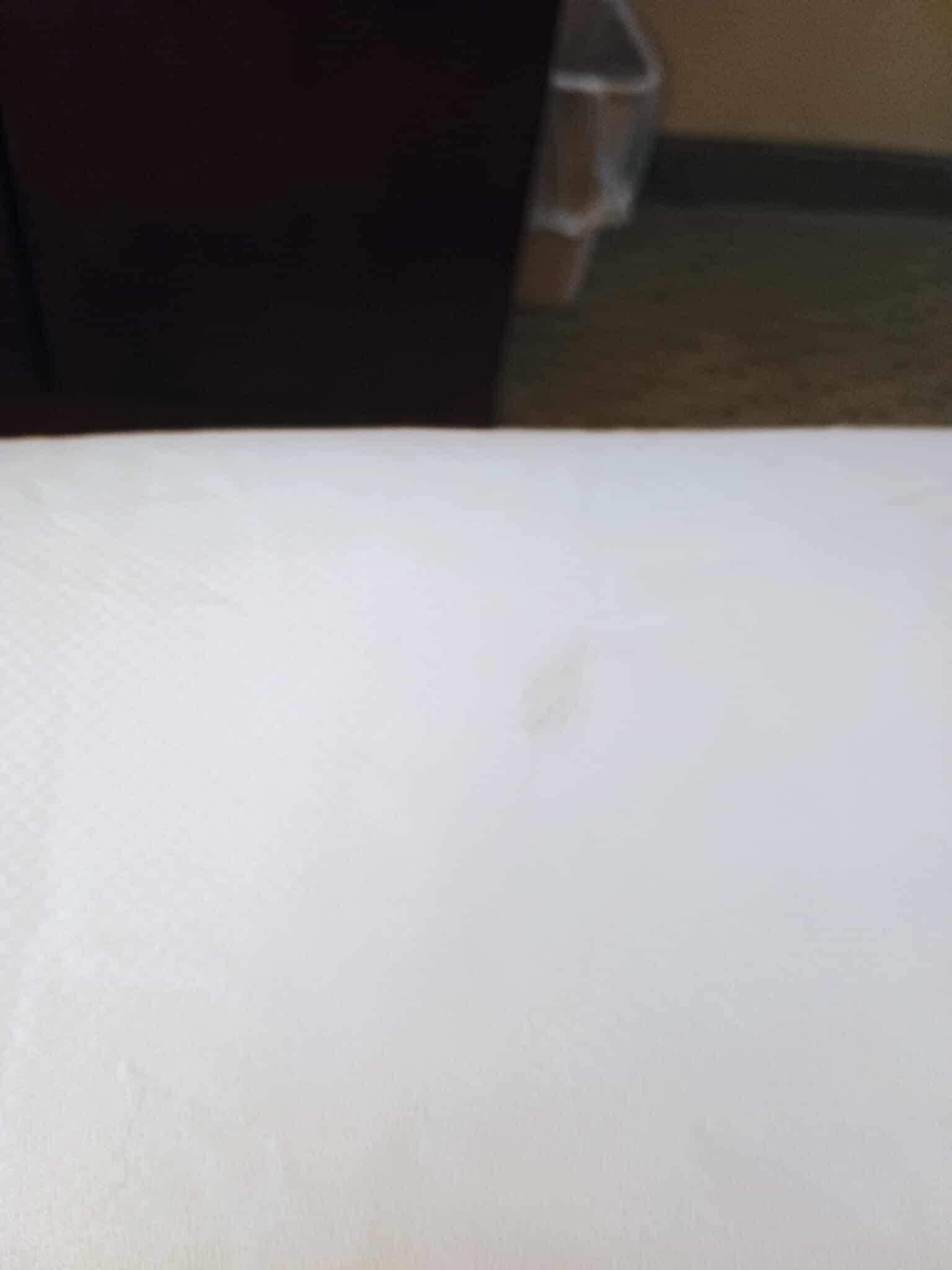 stain on the sheets (in our second room)