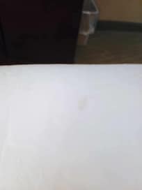 stain on the sheets (in our second room)