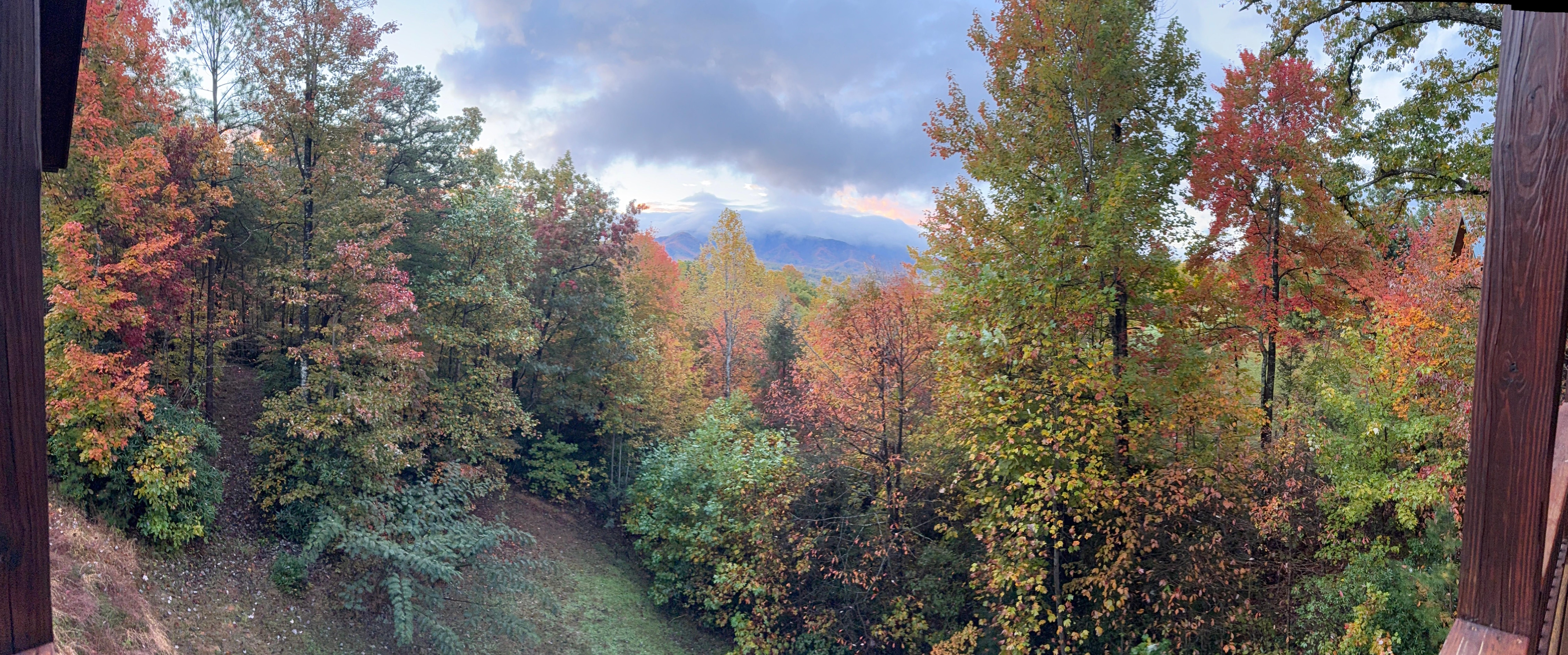 View from lower porch. 