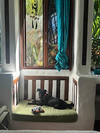 So grateful I could have my beloved pup.