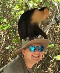 Monkeys in the mangroves