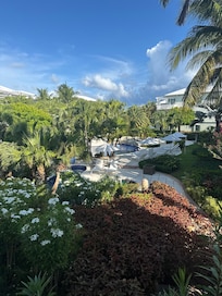 View from the room