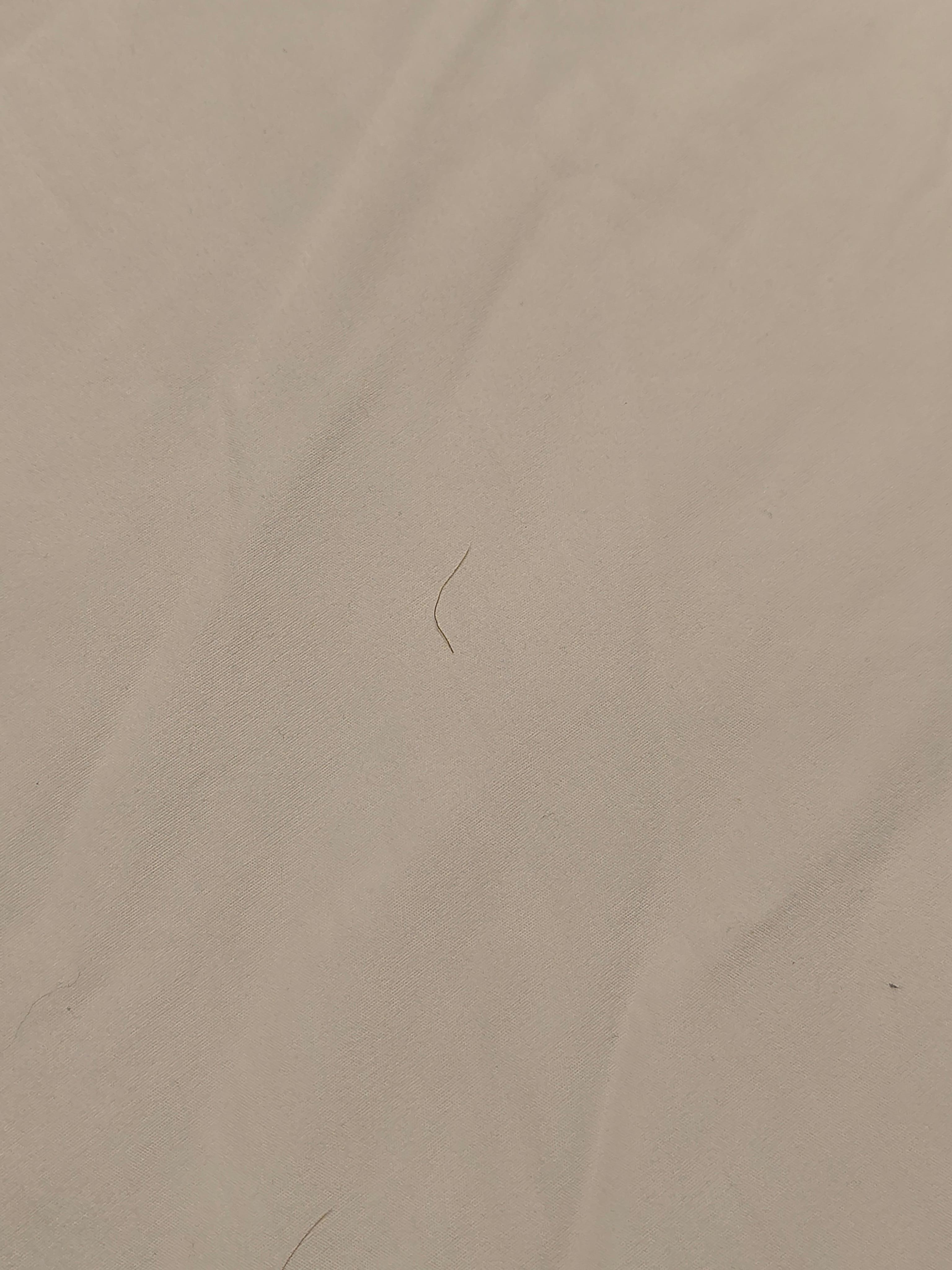 Hair in bedroom 2 with 1 king bed throughout bed. Had to remove all linen and wash them