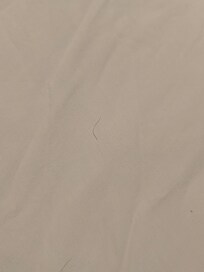 Hair in bedroom 2 with 1 king bed throughout bed. Had to remove all linen and wash them