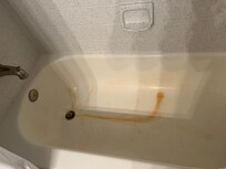 Rust