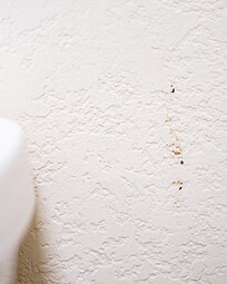 wall behind toilet room 221