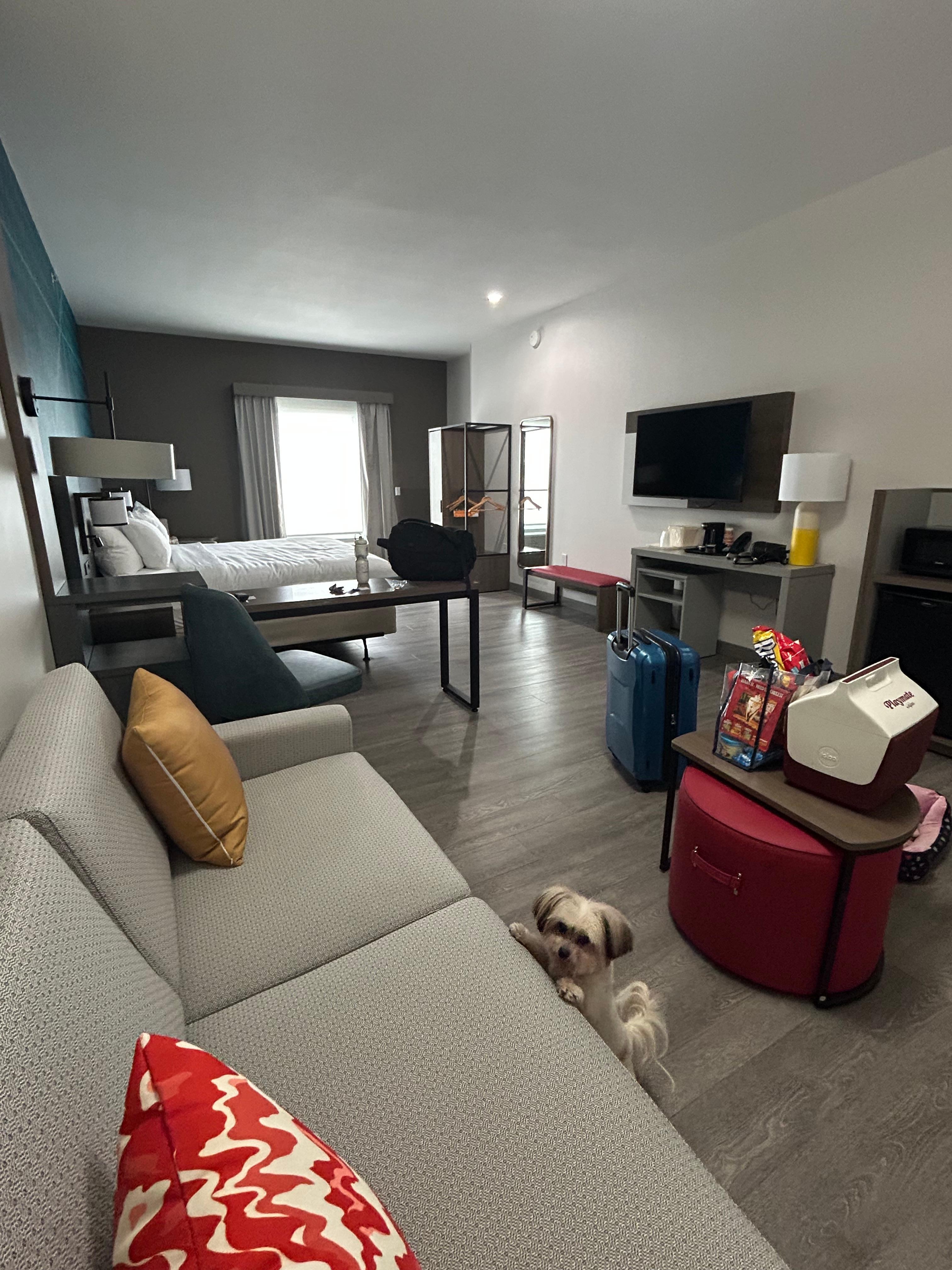 Lots of light and outlets. 