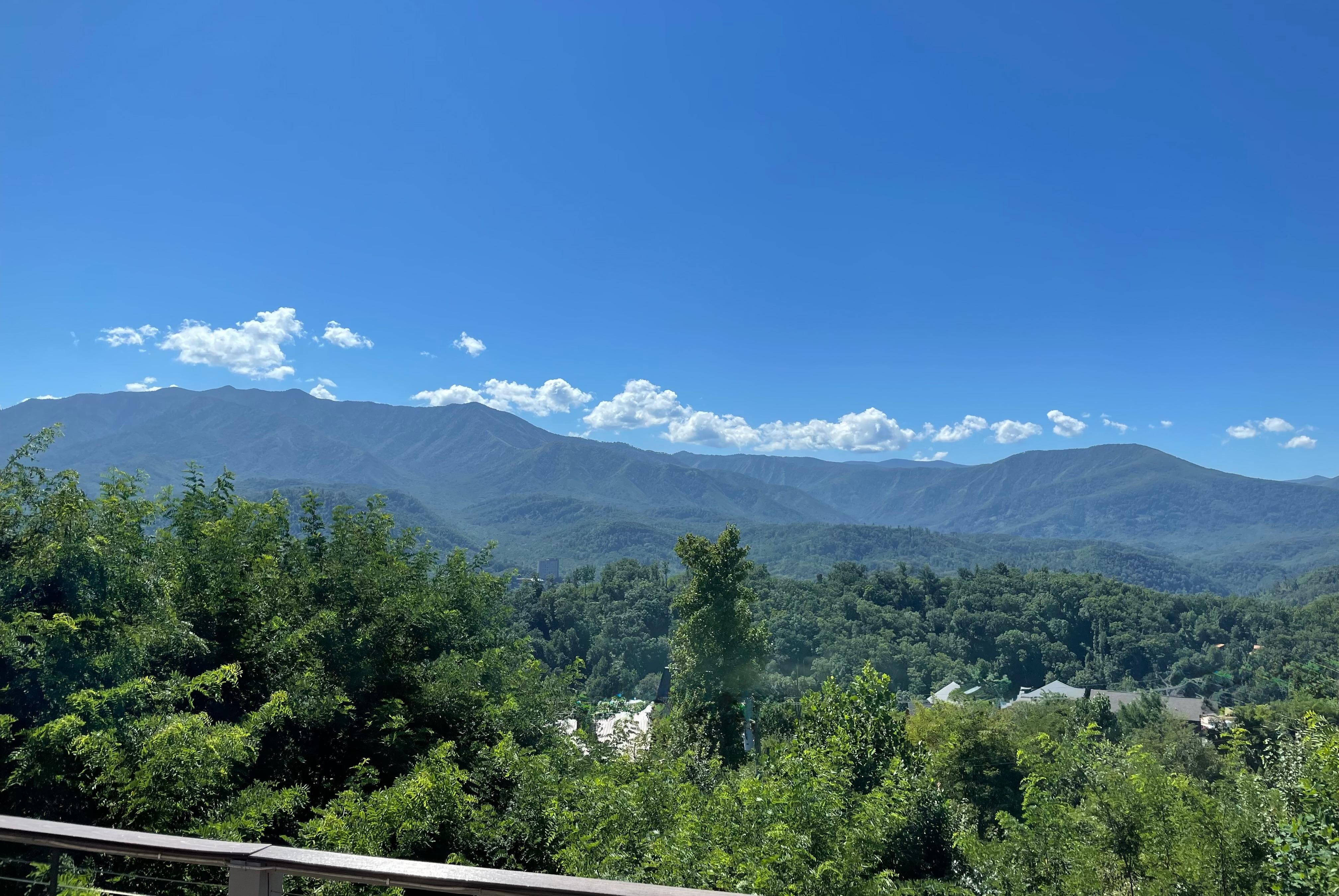 View from the upper deck