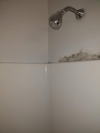 Bathroom mold