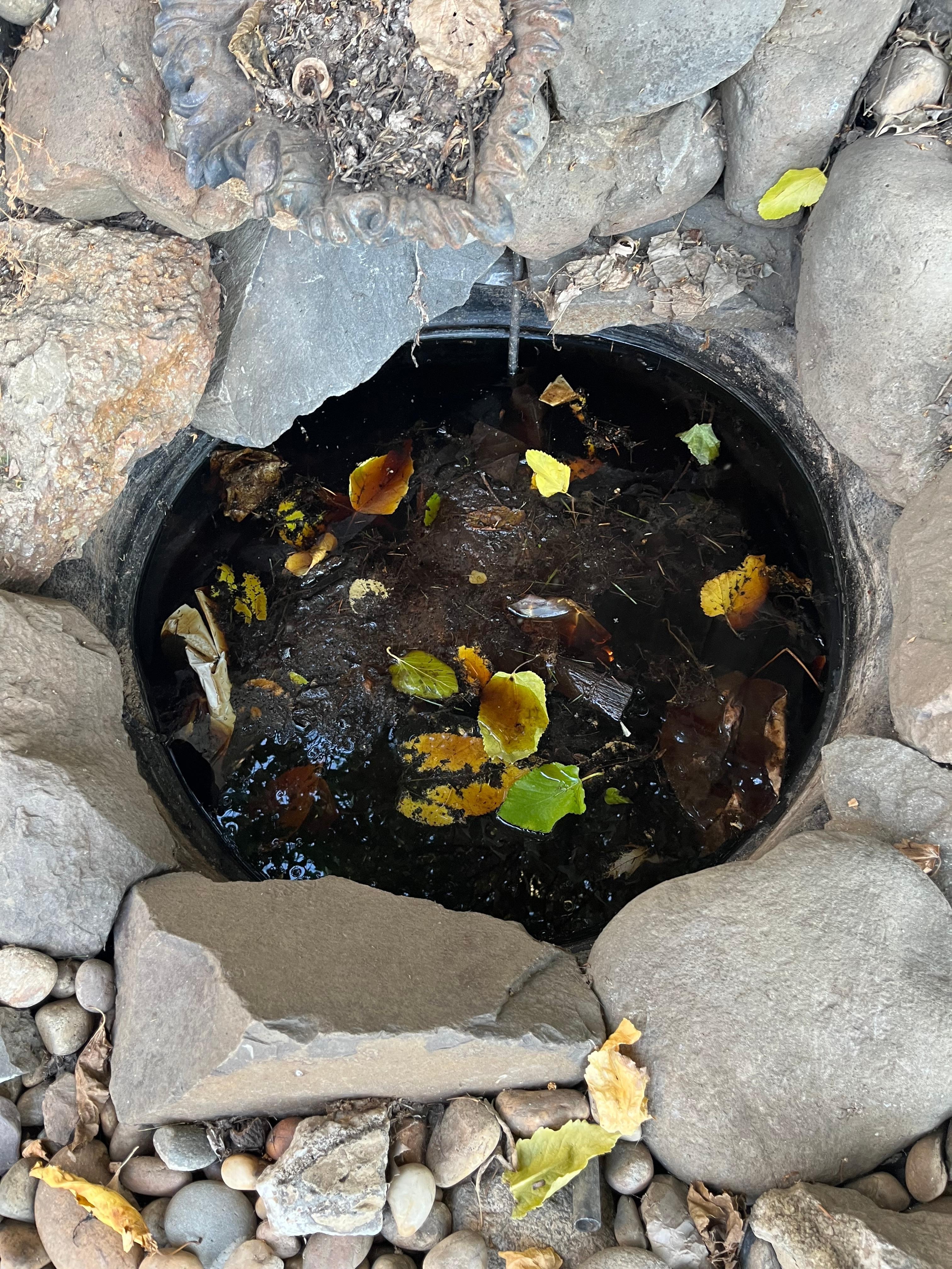 Hole full of trash and water