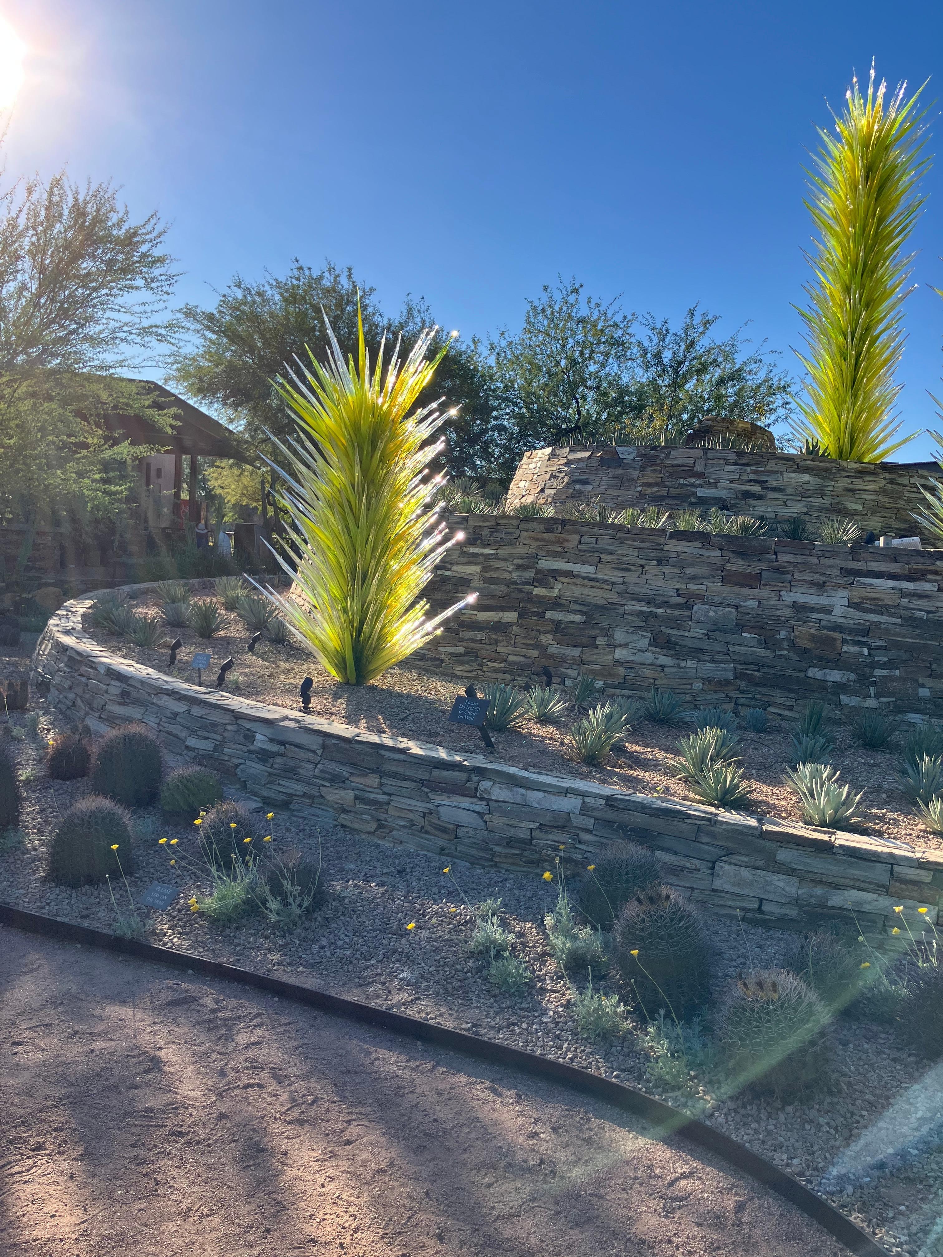 Desert Botanical Gardens 