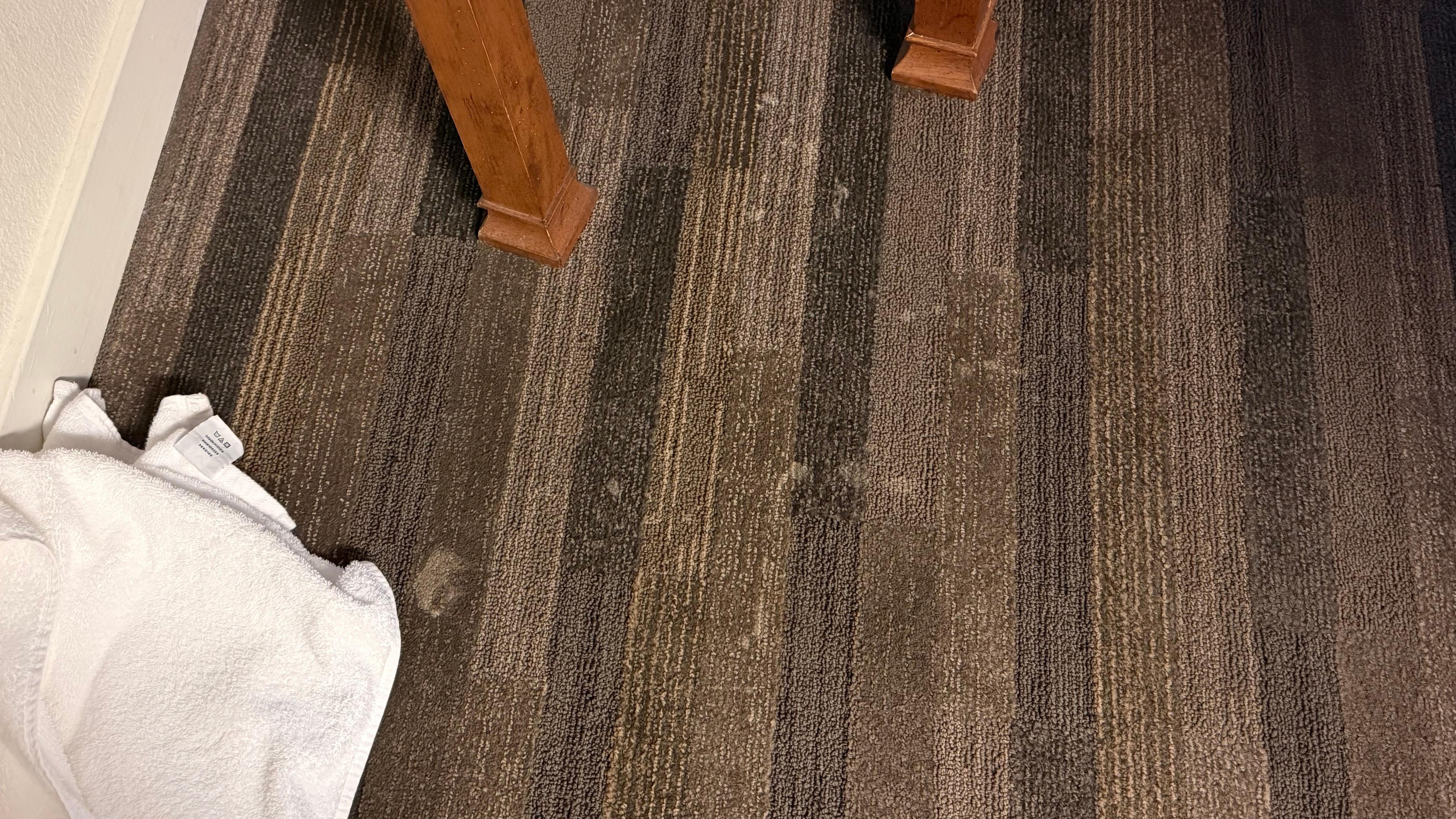 Filthy carpet floor