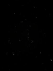 And stargazing were amazing