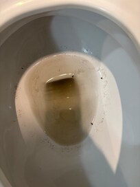 Toilet set was dirty as well and hair in bathroom floor. Looks like mop water was poured in toilet.