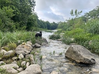 Small rapids. We hung a hammock above this area under an amazing shade tree. Best nap ever!