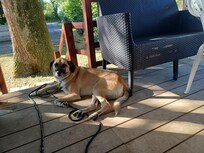 Sur la terrasse