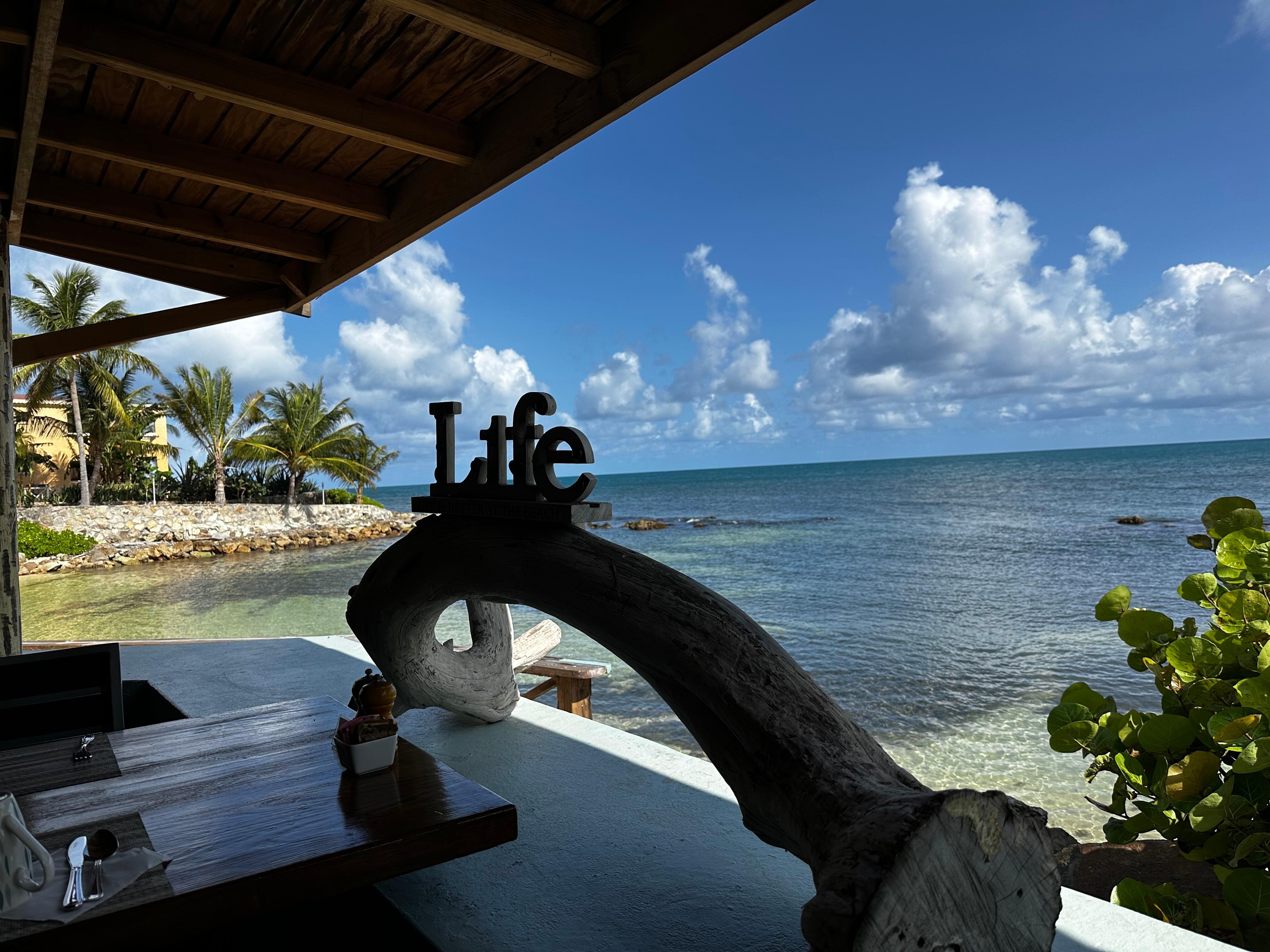View from the restaurant 