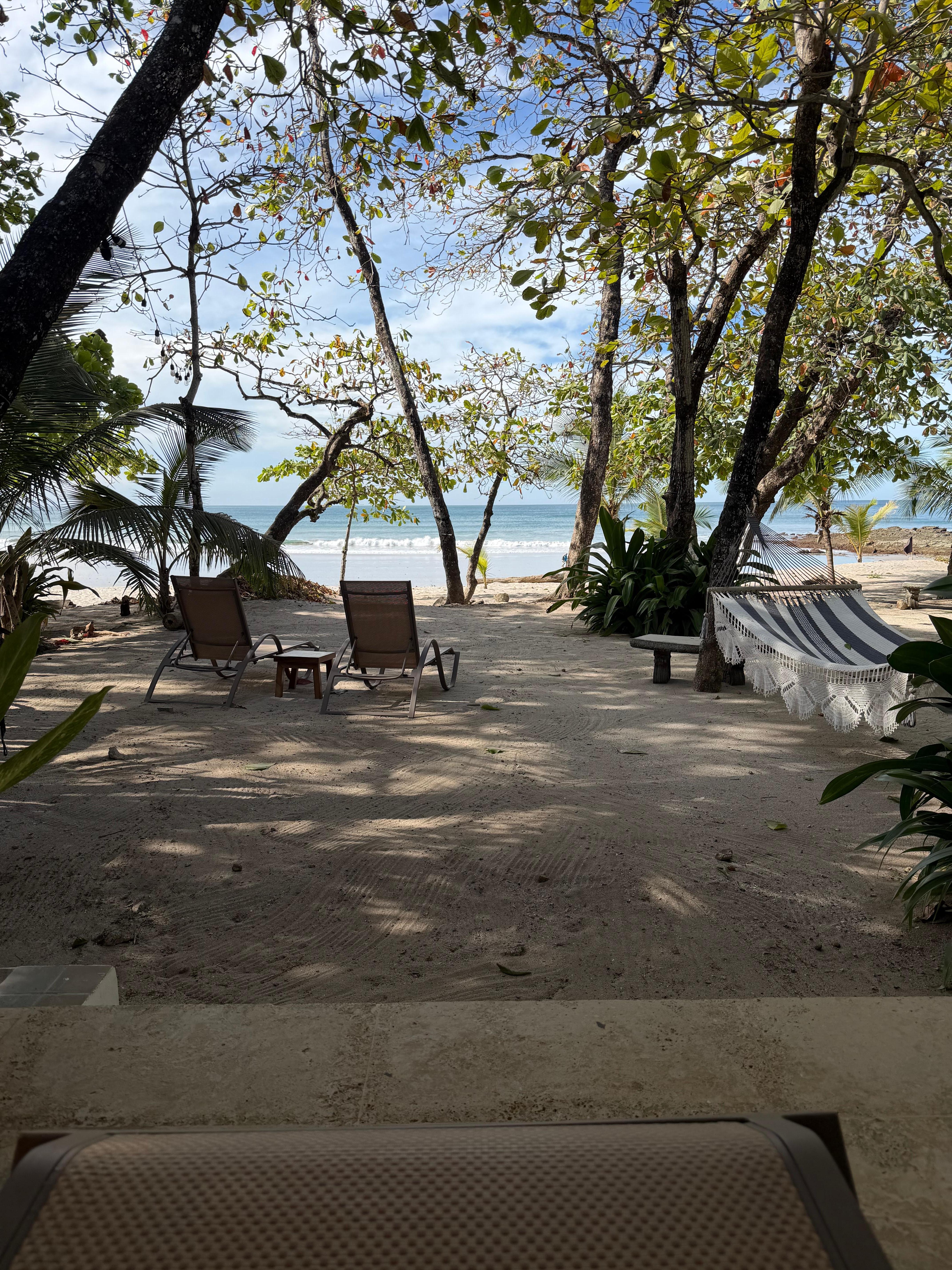 The view sitting on the patio.