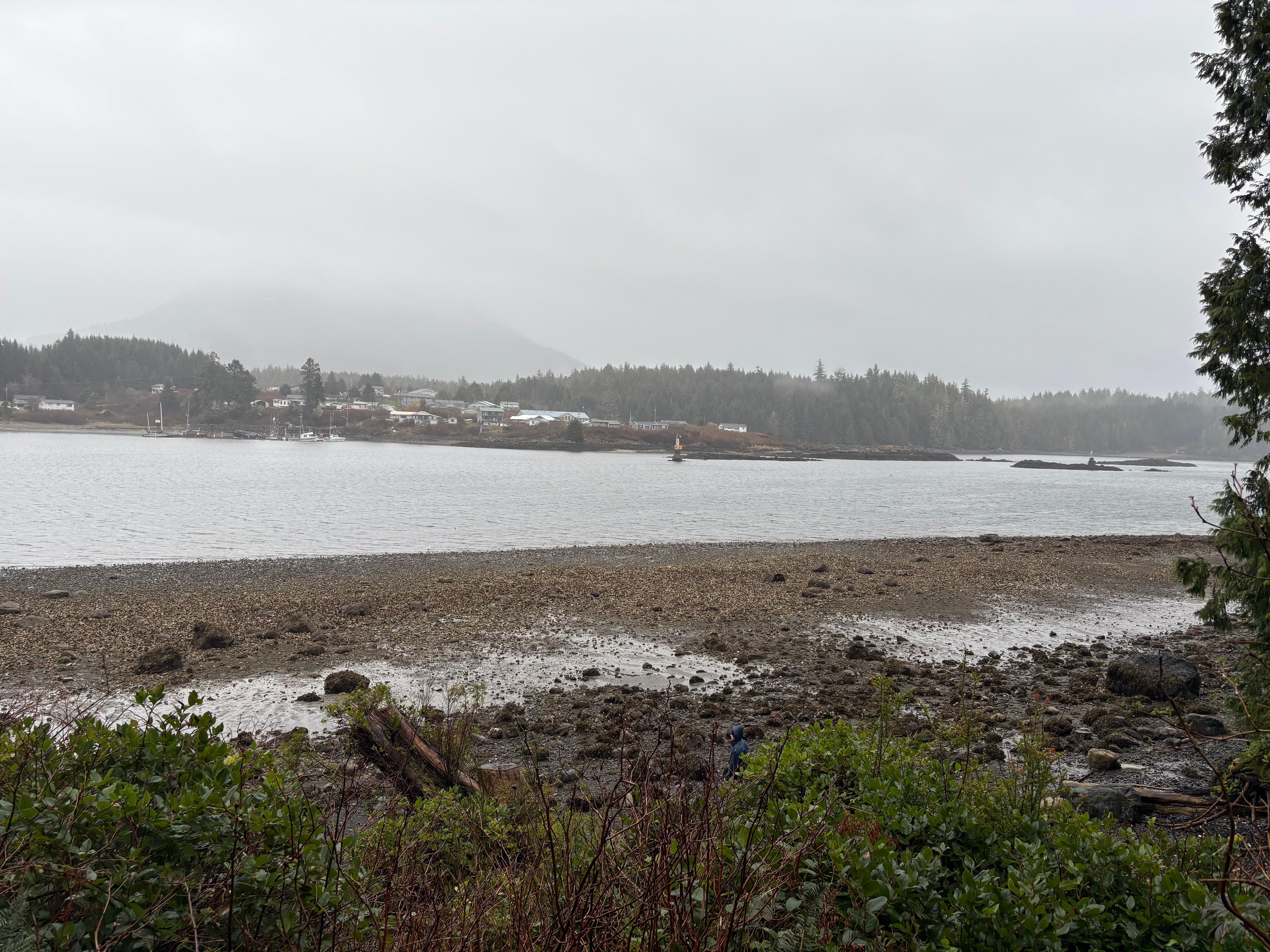 Beachfront just steps from cabin