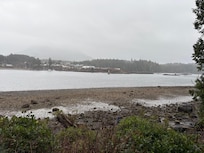 Beachfront just steps from cabin