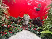 Sarasota botanical garden.