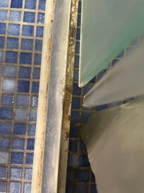 Shower mold