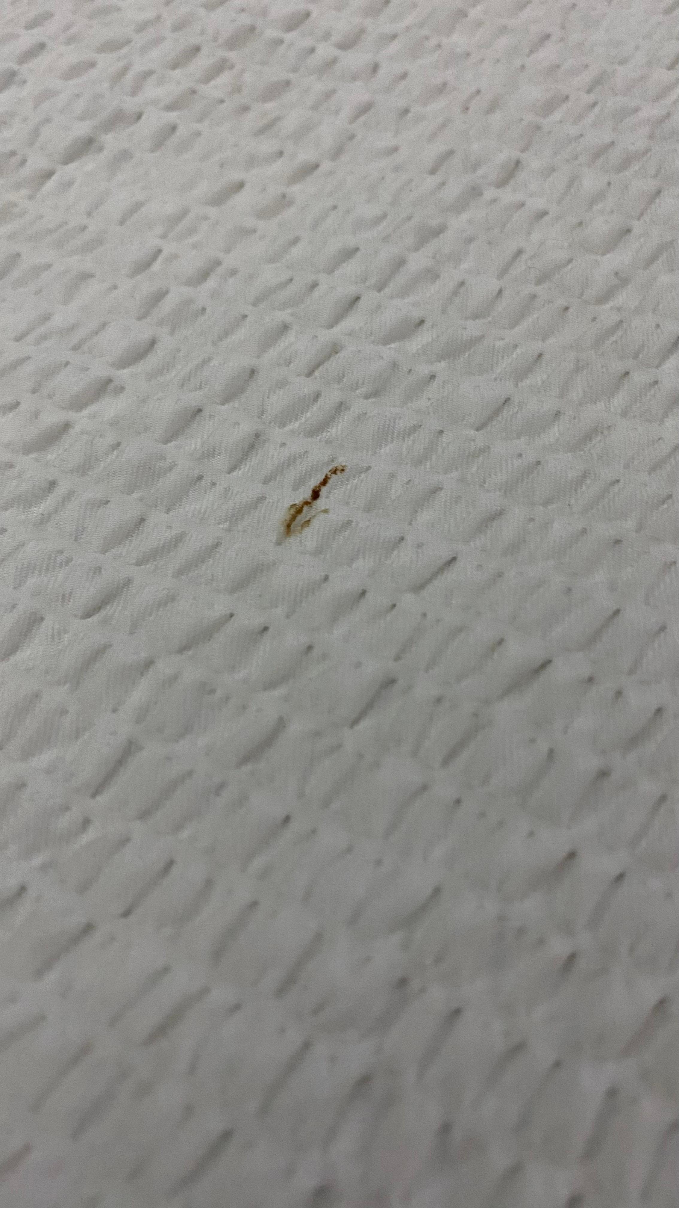 Unknown brown spot on the bed sheet.