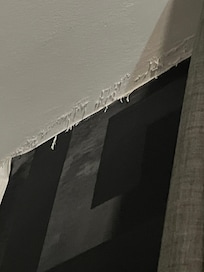Ceiling damage.