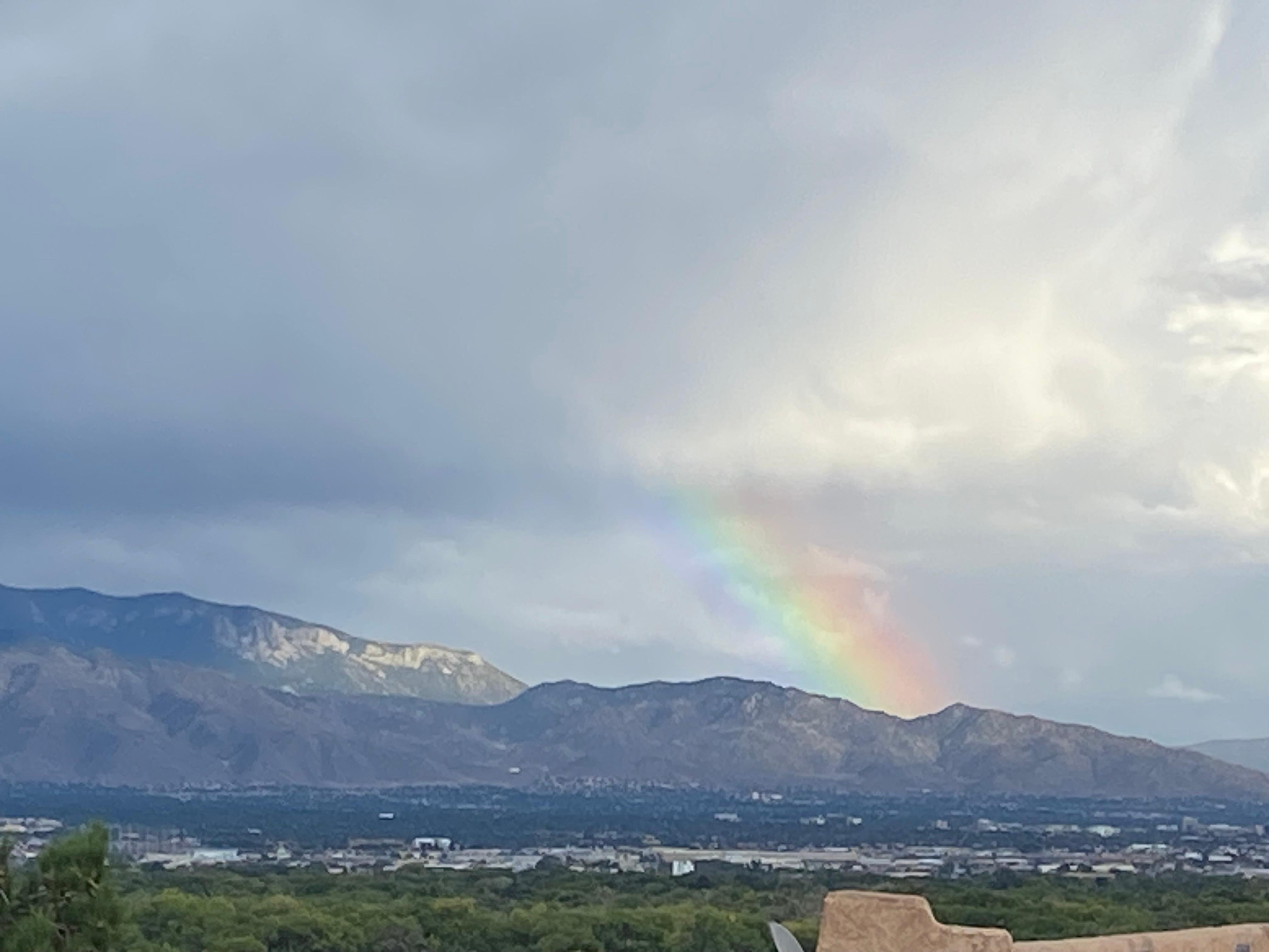 Views from the balcony 