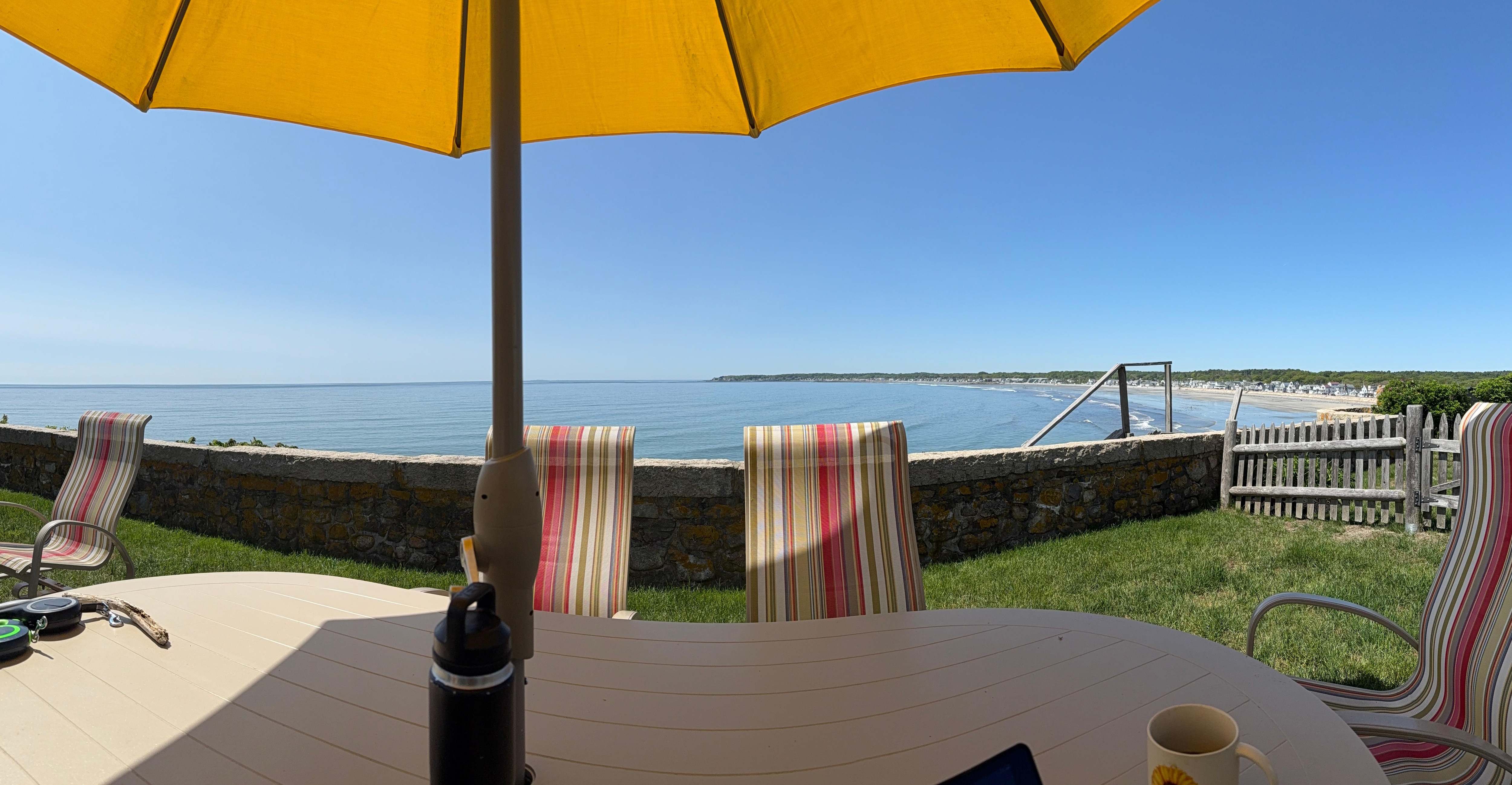 View from the back yard. 