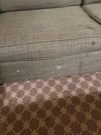 One of the many chairs and the floor in the pool area with this unknown matter on it