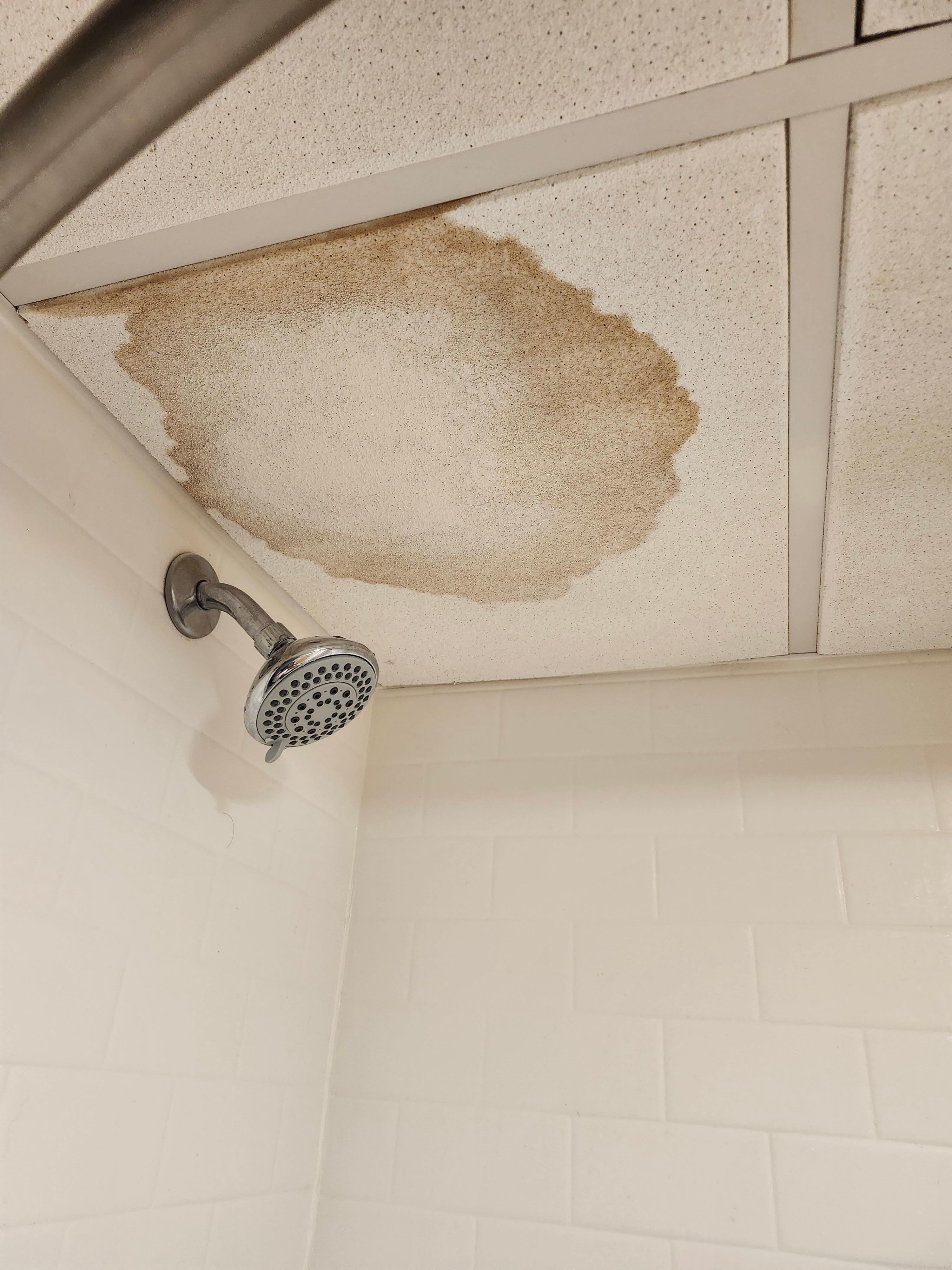 Moldy, wet and ready to bust ceiling tile in the one bathroom in the room on the 1st floor.