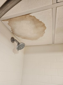 Moldy, wet and ready to bust ceiling tile in the one bathroom in the room on the 1st floor.