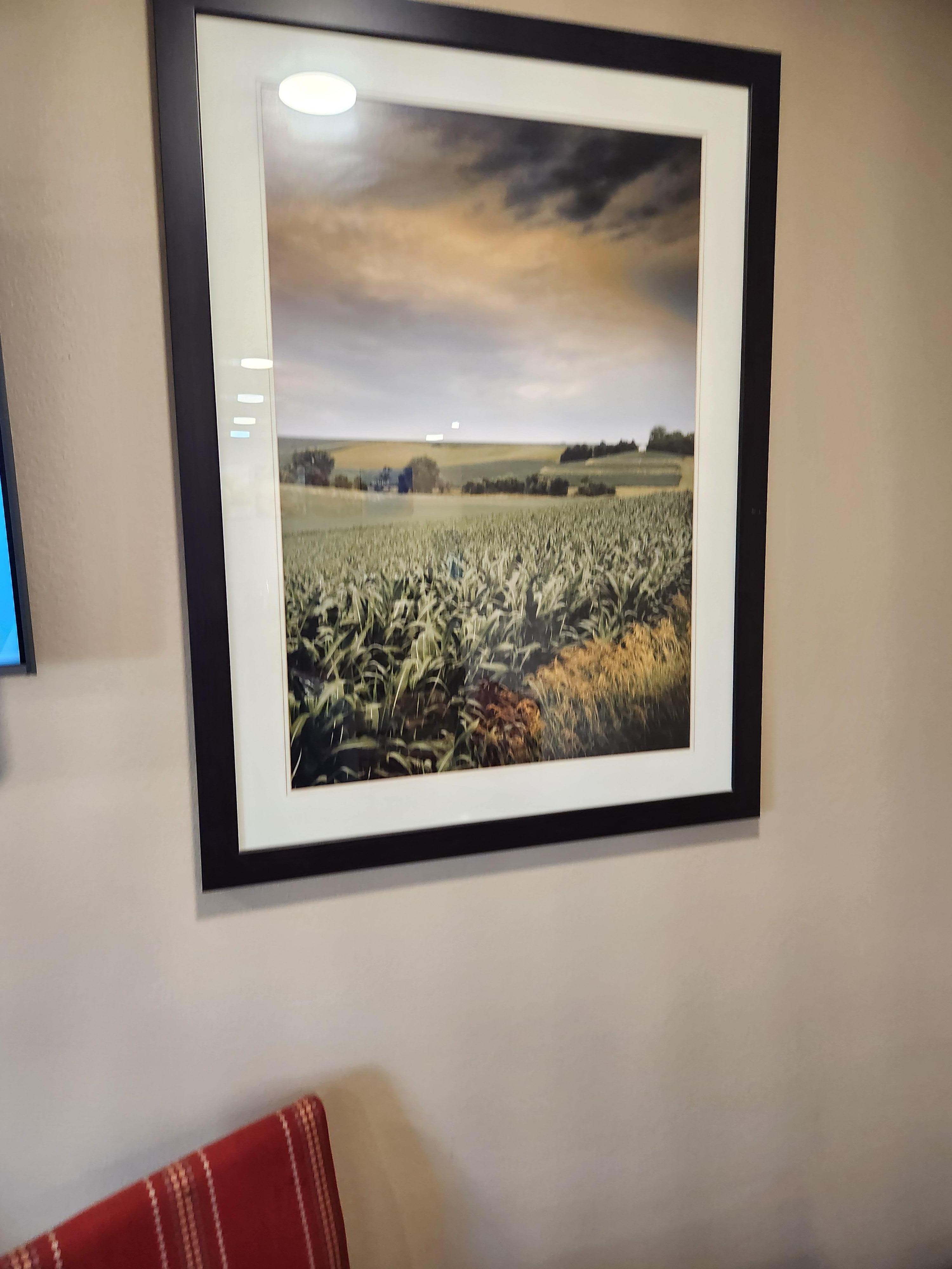 local farm land photo