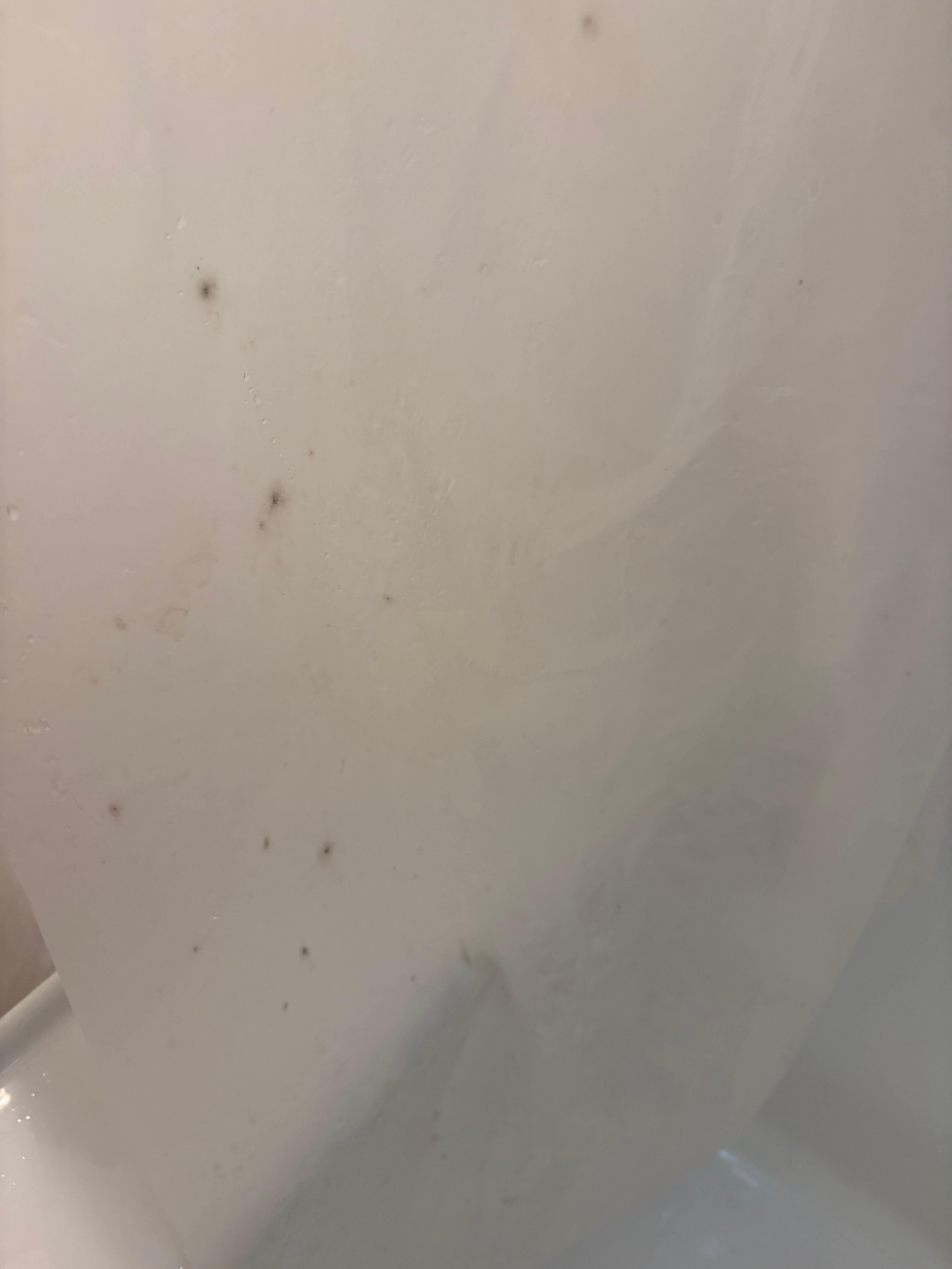 Mold all over the shower liner that clearly has not been cleaned. 