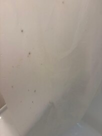 Mold all over the shower liner that clearly has not been cleaned.