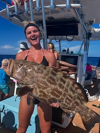 Black Grouper