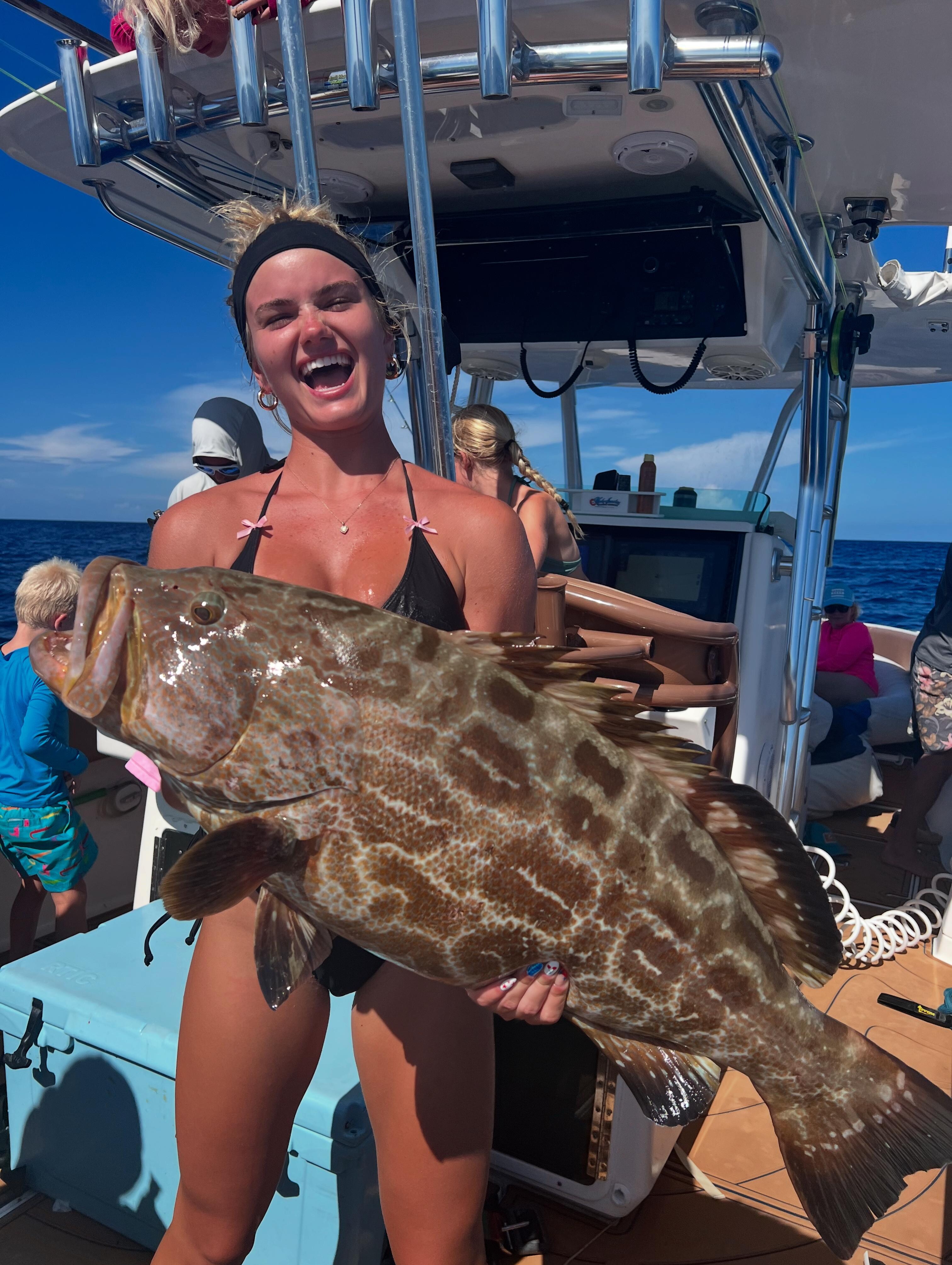 Black Grouper 