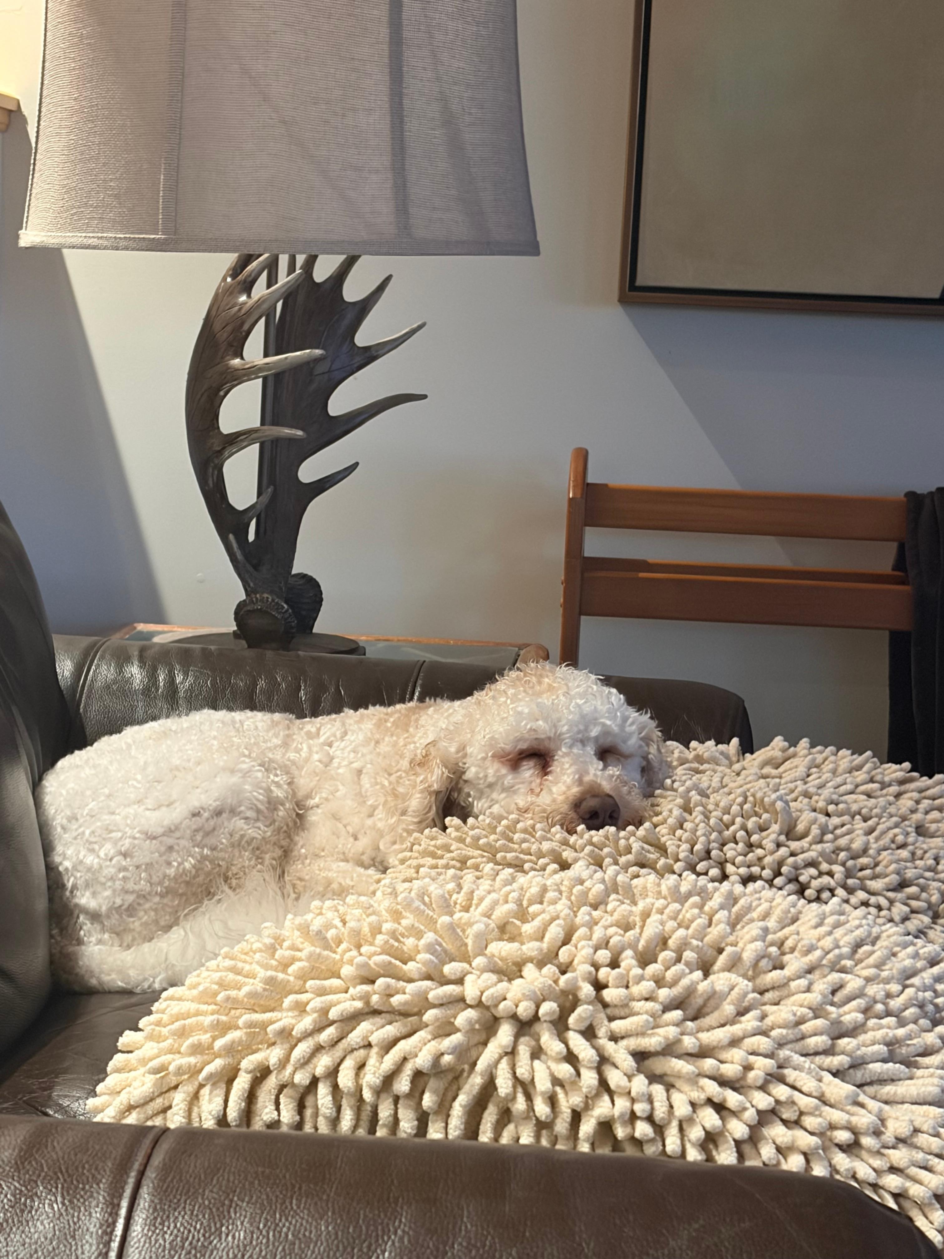 Marcel enjoying his stay! 