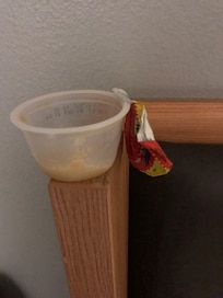 This was on the headboard when I checked in.