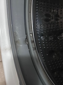 Once the rubber liner was moved you could see mold sludge