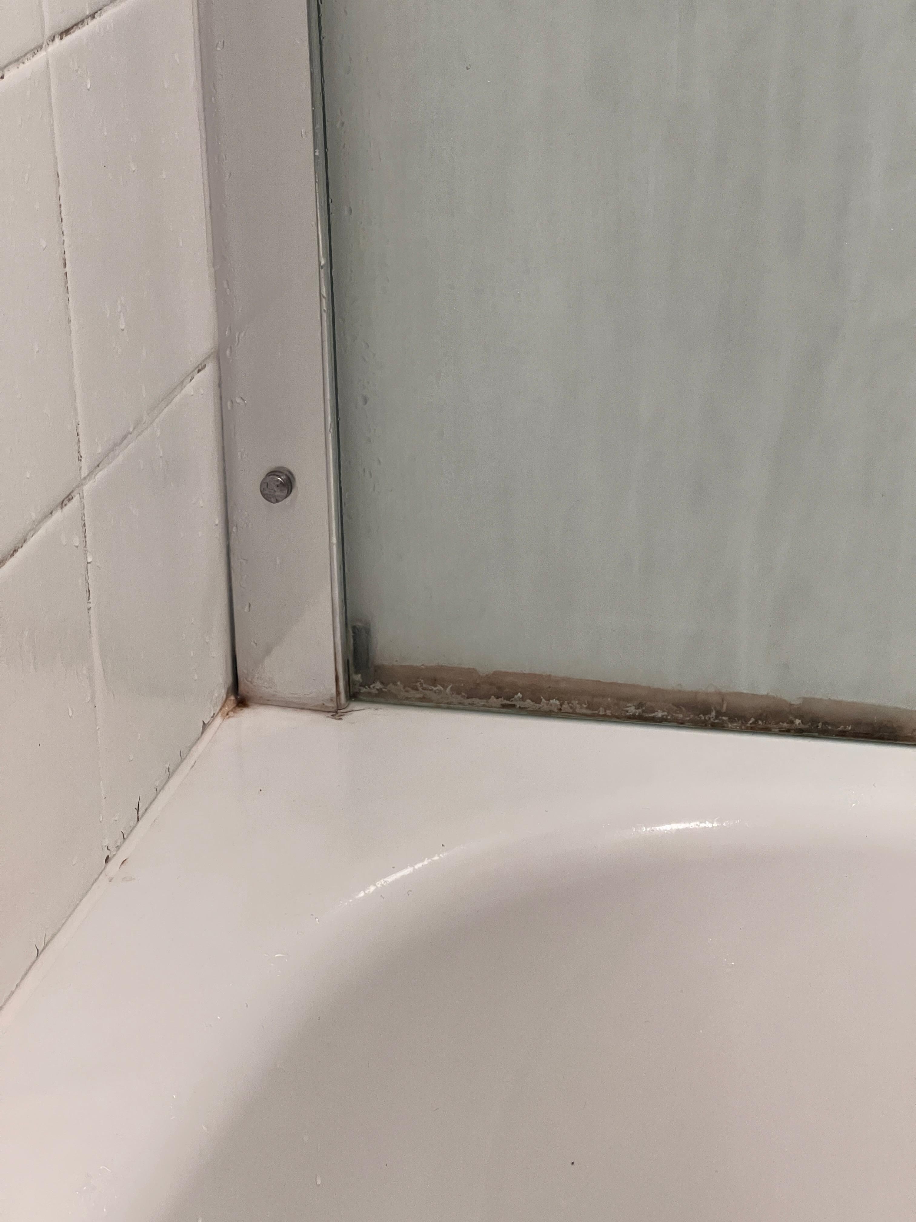 Schimmel in der Badewanne