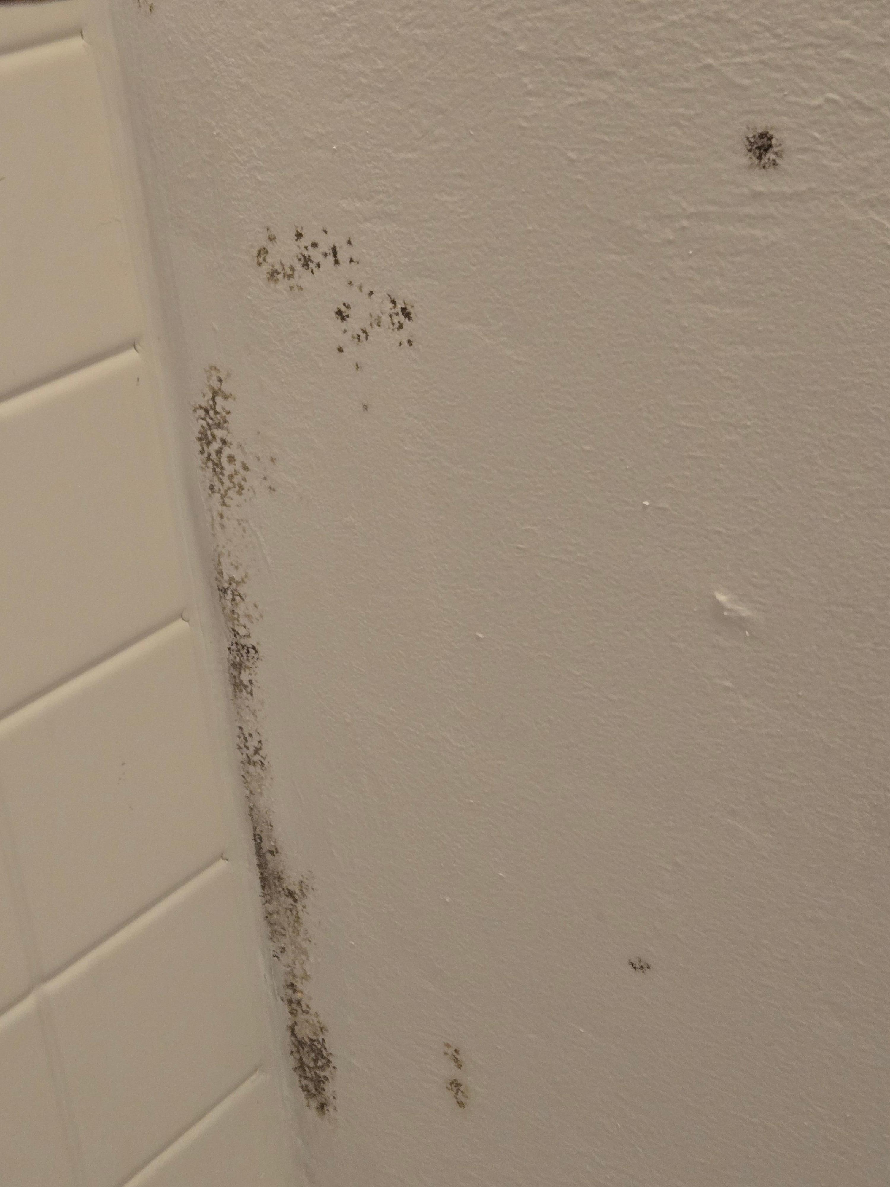 Black mold in shower