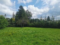 Die Wiese vor dem Haus