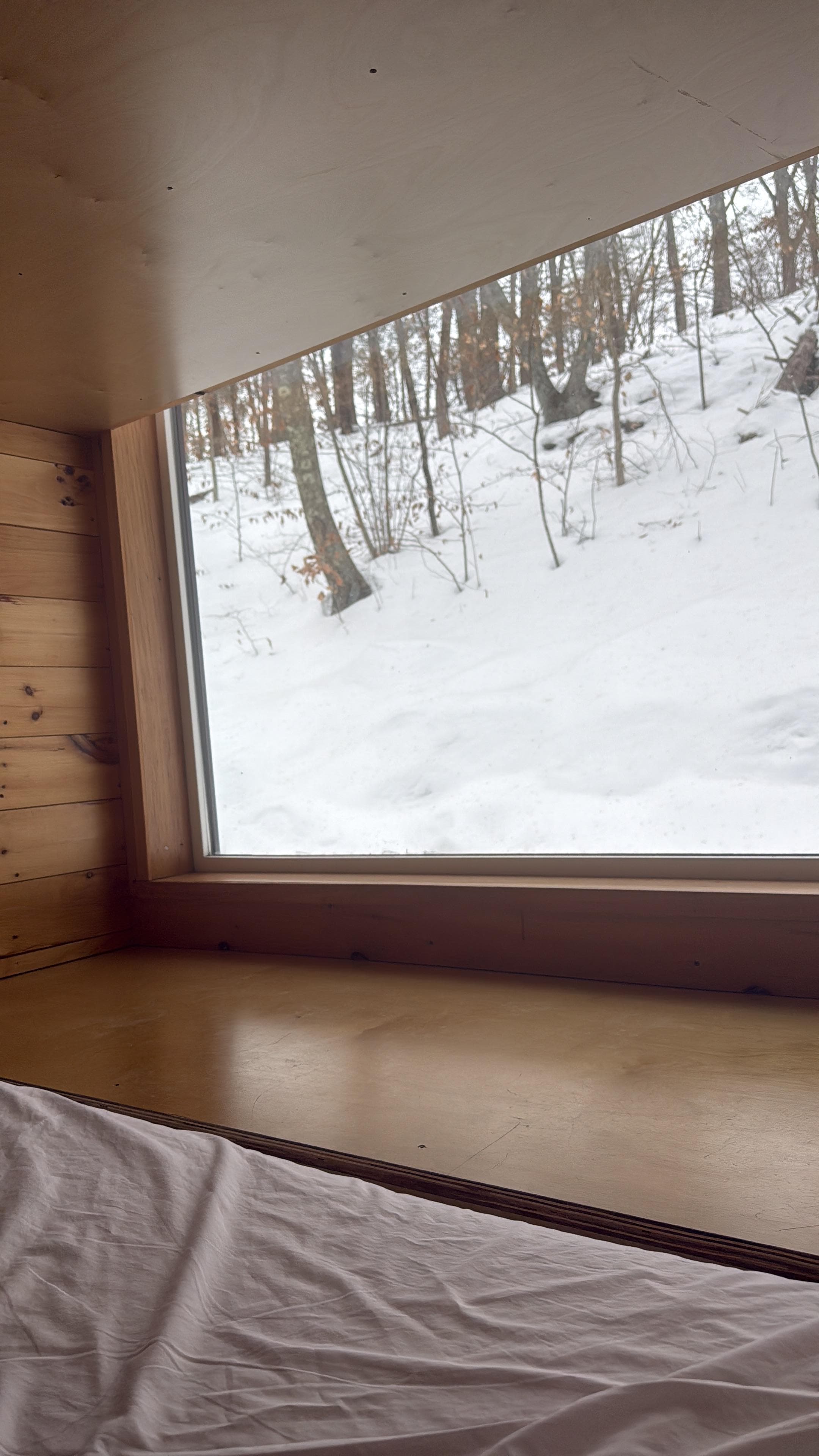 Love waking up to this 🥰