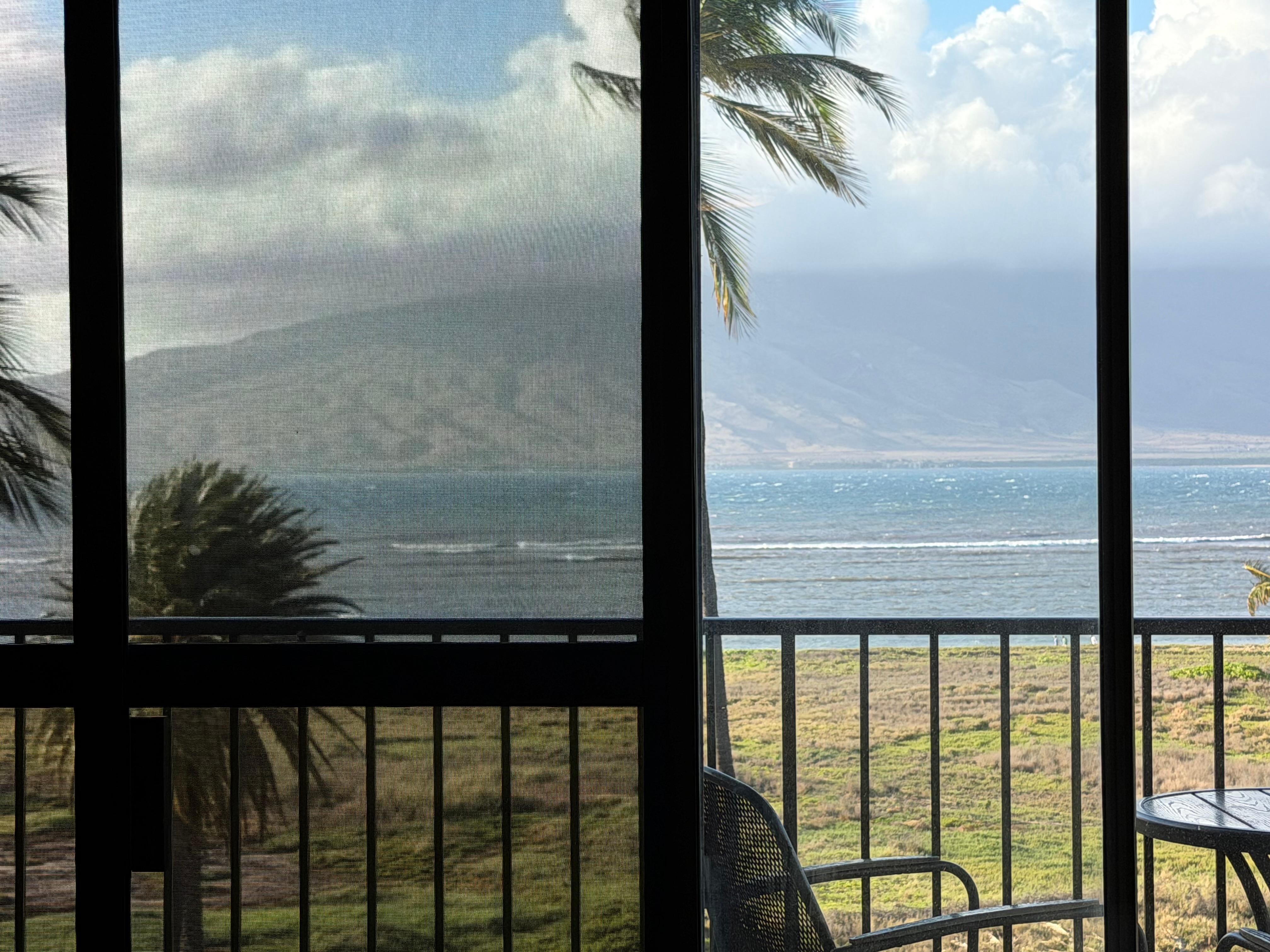 View from living room  