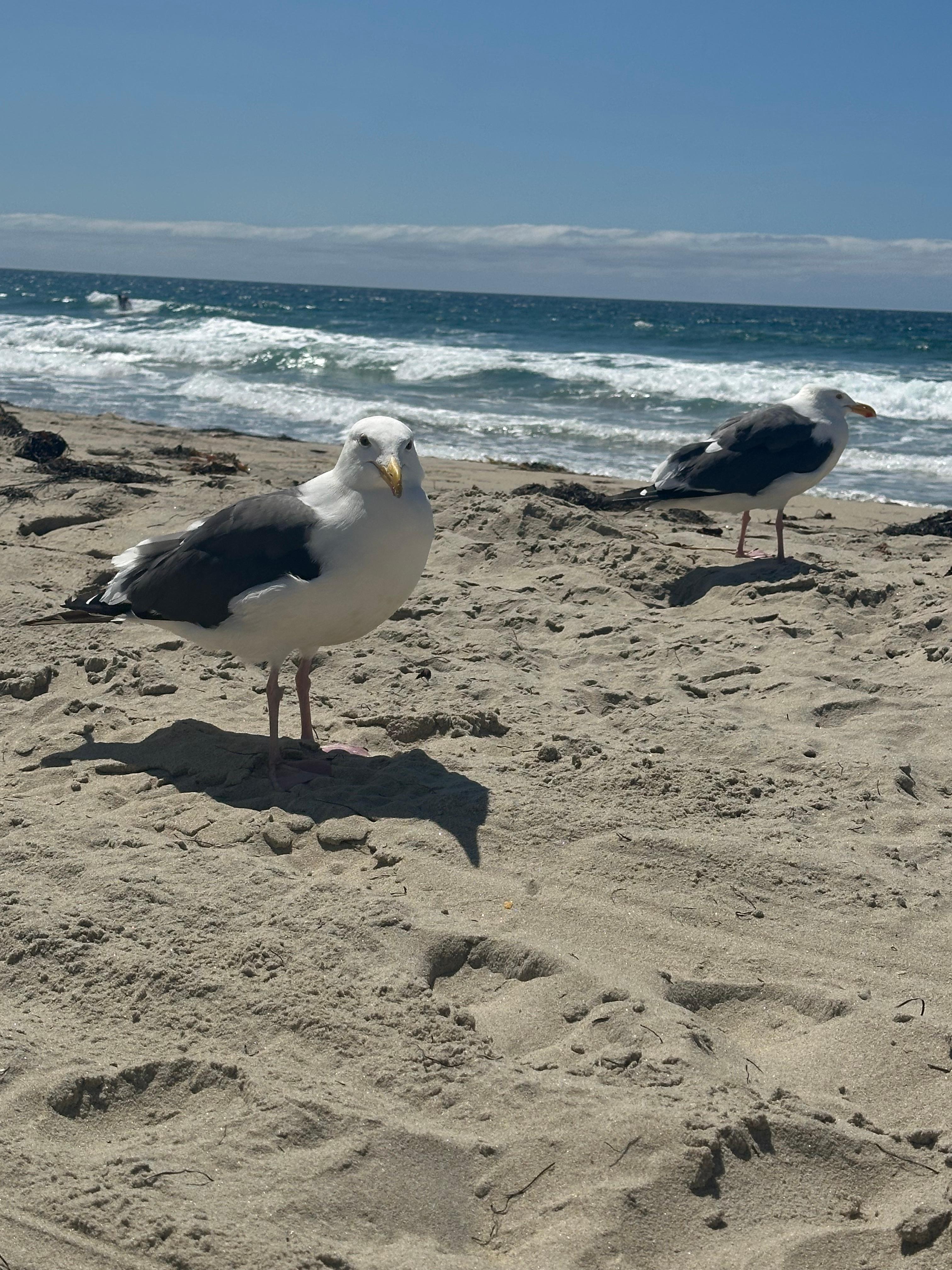 Perfect sand.. perfect beach 