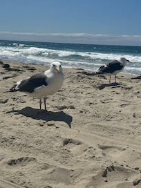Perfect sand.. perfect beach