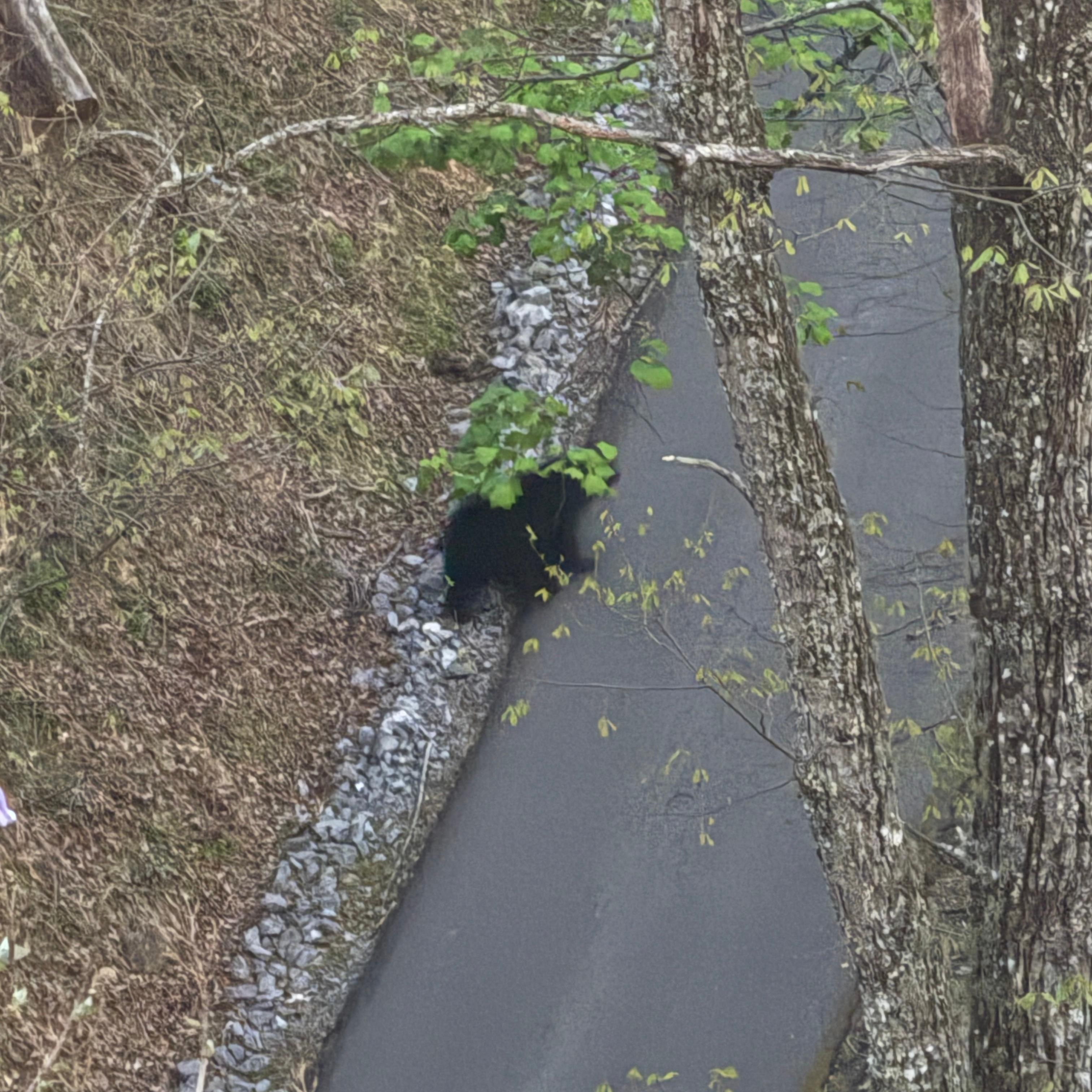 Saw this beauty from the balcony